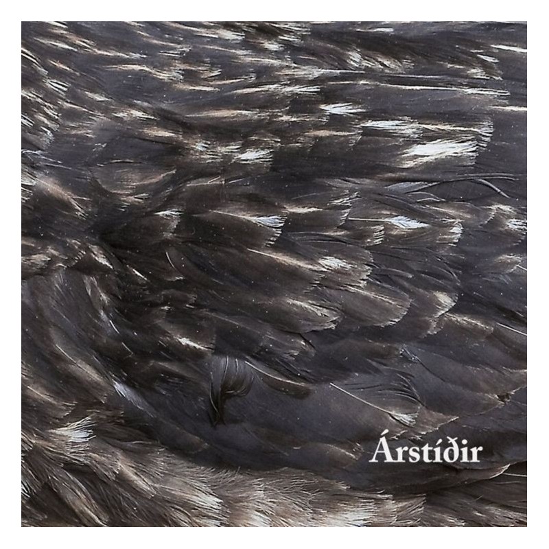 ARSTIDIR - ÁRSTÍÐIR - CD