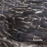 ARSTIDIR - ÁRSTÍÐIR - CD