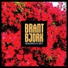 BRANT BJORK - Bougainvillea Suite